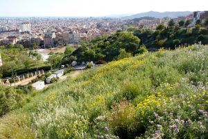 parc 