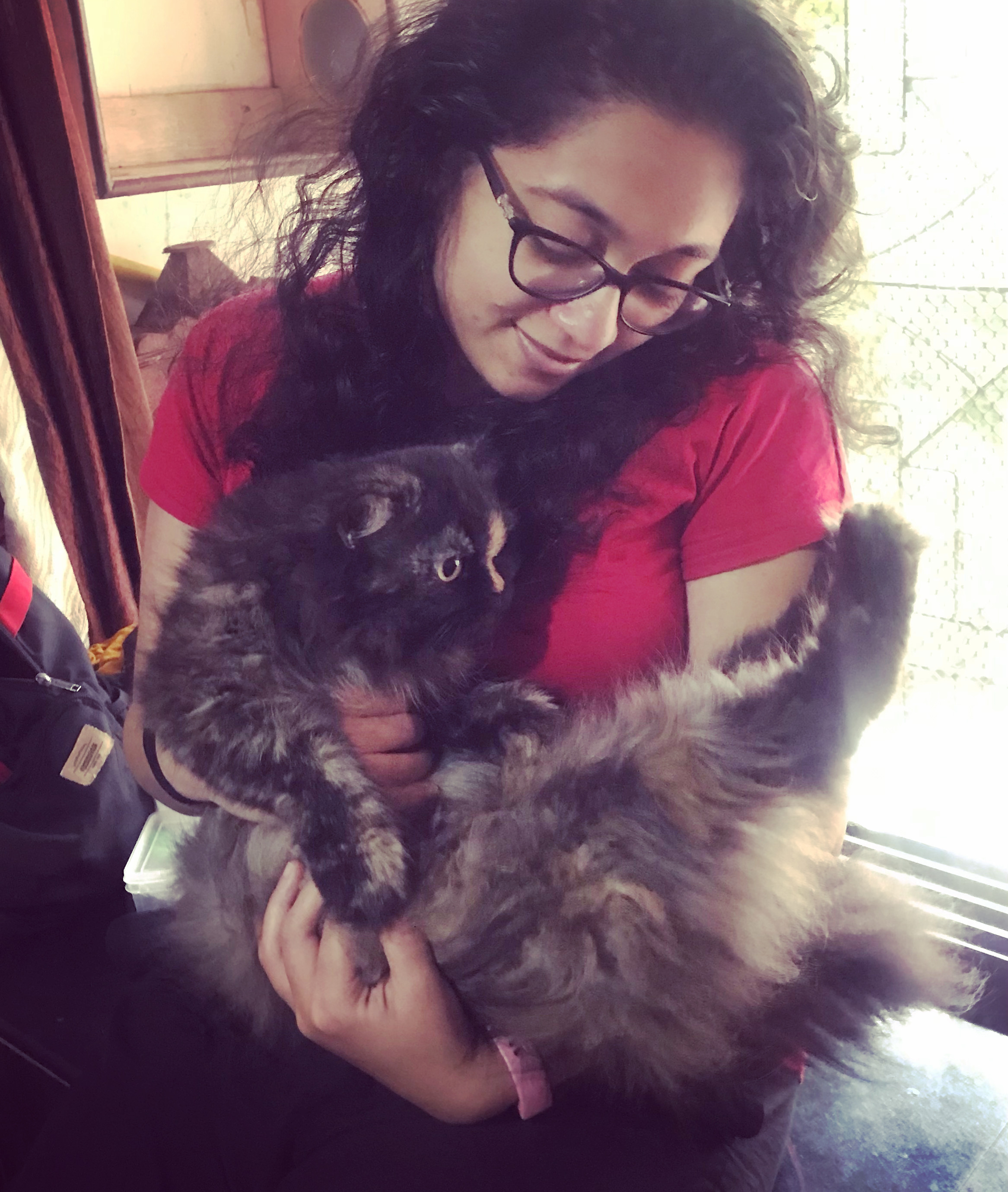 Saloni P.